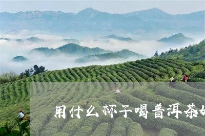 用什么杯子喝普洱茶好喝/2023082426061