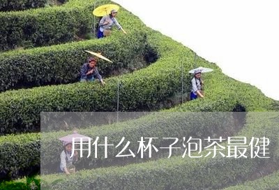 用什么杯子泡茶最健/2023071539270