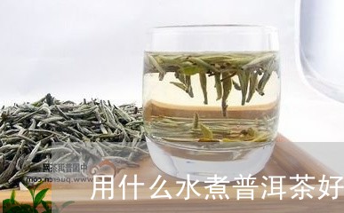 用什么水煮普洱茶好呢/2023120676160