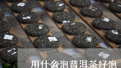 用什么泡普洱茶好泡/2023120565037