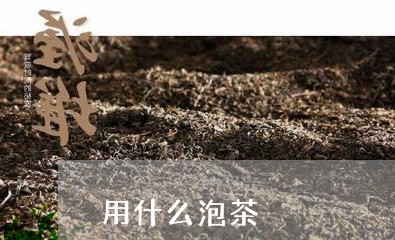 用什么泡茶/2023090230739