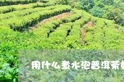 用什么煮水泡普洱茶好/2023062383715