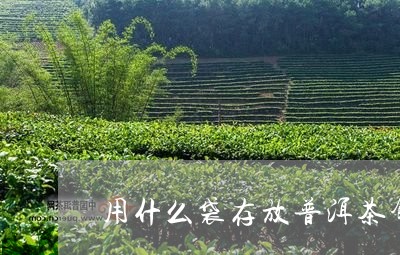 用什么袋存放普洱茶饼好/2023110131592