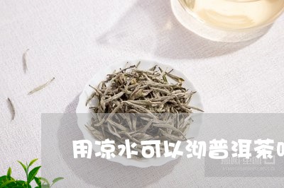 用凉水可以沏普洱茶吗视频/2023112533060