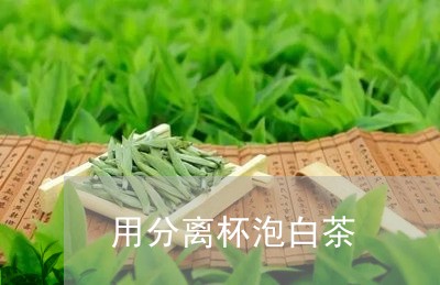 用分离杯泡白茶/2023060207279