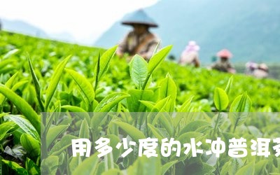 用多少度的水冲普洱茶/2023072263947