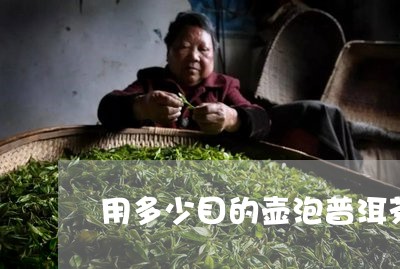 用多少目的壶泡普洱茶/2023062251793