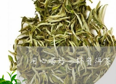 用心喝好一杯普洱茶/2023120578360