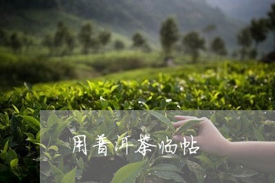 用普洱茶临帖/2023042718761