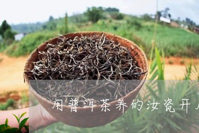 用普洱茶养的汝瓷开片/2023072242795