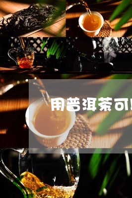 用普洱茶可以做绿茶吗/2023092939605