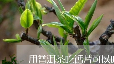 用普洱茶吃钙片可以吗/2023093007162