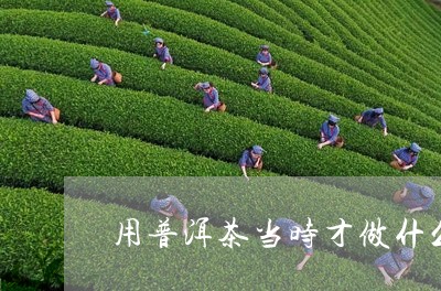 用普洱茶当时才做什么茶/2023120768169