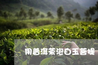 用普洱茶泡白玉菩提/2023120580491