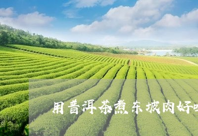 用普洱茶煮东坡肉好吗/2023061715046