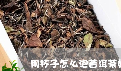 用杯子怎么泡普洱茶好喝/2023110178461