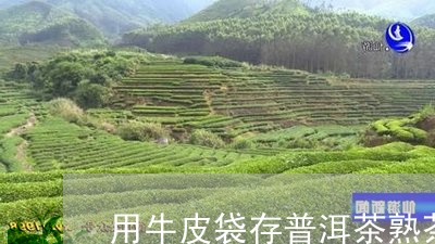 用牛皮袋存普洱茶熟茶/2023062320302