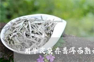 用牛皮袋存普洱茶熟茶/2023073043847