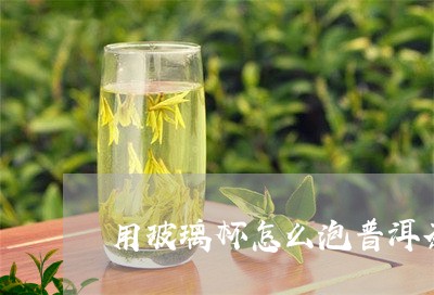 用玻璃杯怎么泡普洱茶/2023092983838