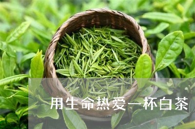 用生命热爱一杯白茶/2023072150492