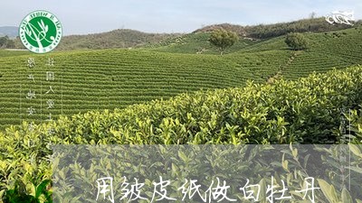 用皱皮纸做白牡丹/2023090659492