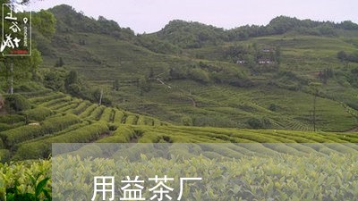 用益茶厂/2023090194926