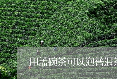 用盖碗茶可以泡普洱茶吗/2023110117149