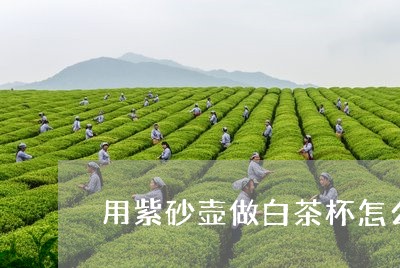 用紫砂壶做白茶杯怎么做/2023102831695