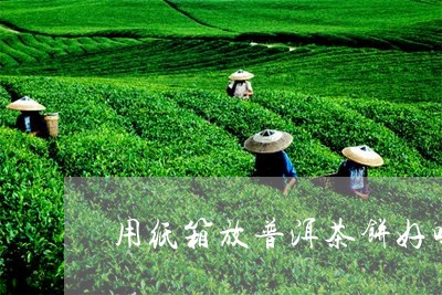 用纸箱放普洱茶饼好吗/2023120774047