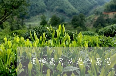 用绿茶可以泡白茶吗/2023072169614