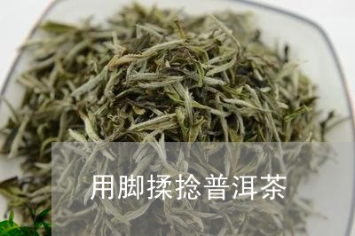 用脚揉捻普洱茶/2023101685926