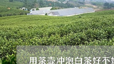 用茶壶冲泡白茶好不好呀/2023102836361