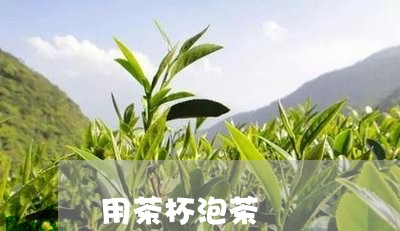 用茶杯泡茶/2023090244038