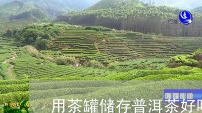 用茶罐储存普洱茶好吗视频/2023112664038