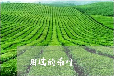 用过的茶叶/2023041822570