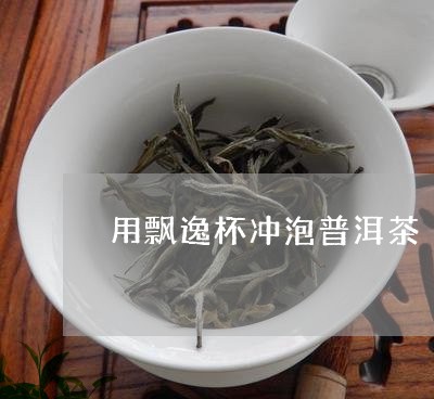 用飘逸杯冲泡普洱茶/2023081697260