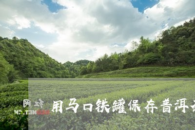 用马口铁罐保存普洱茶/2023100578383