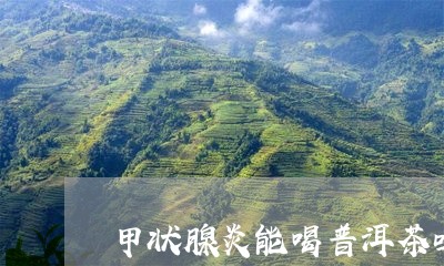 甲状腺炎能喝普洱茶吗/2023092837159