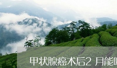 甲状腺癌术后2月能喝茶吗/2023051179381