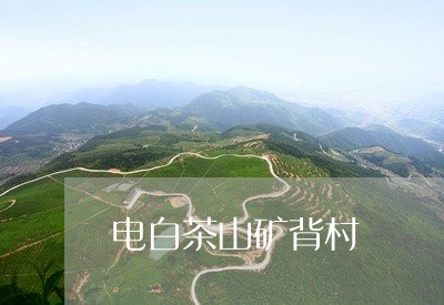 电白茶山矿背村/2023060278258