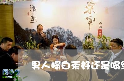 男人喝白茶好还是喝红茶好/2023110391694