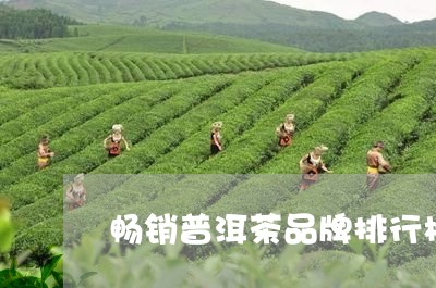 畅销普洱茶品牌排行榜前十名/2023110770415