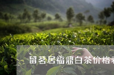 留茗居福鼎白茶价格表/2023120792036