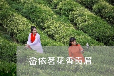 畲依茗花香贡眉/2023060417270