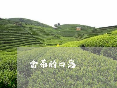 畲茶的口感/2023090279583