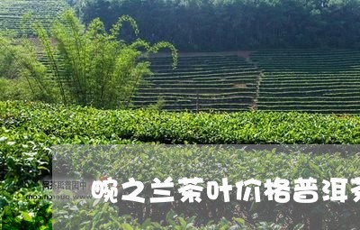 畹之兰茶叶价格普洱茶/2023062239683