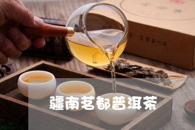 疆南茗都普洱茶/2023101659593