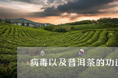 病毒以及普洱茶的功过/2023080155958