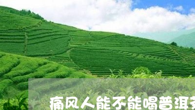 痛风人能不能喝普洱茶/2023092716349