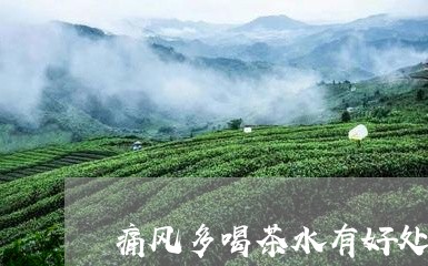 痛风多喝茶水有好处吗/2023060898261